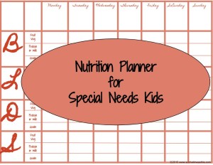 special needs-menu plan