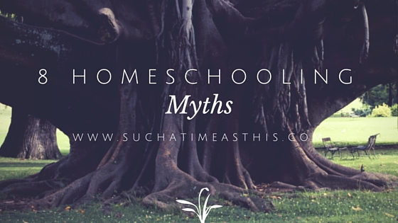 8 Homeschooling Myths