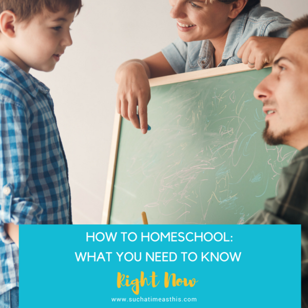 How to Homeschool: What You Need to Know – Right Now