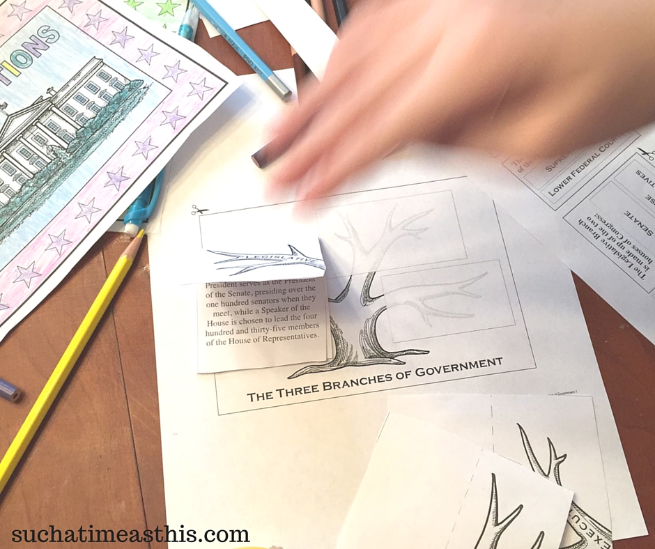 Create an Election Lapbook