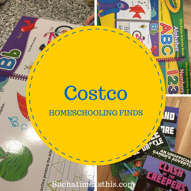 Costco Homeschooling Finds