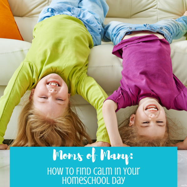 Mom of Many: How to Find Calm in Your Homeschool Day