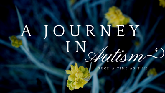 A Journey in Autism {Autism Awareness}