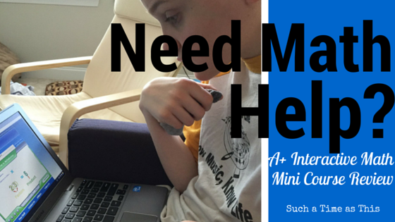 A+ Interactive Math Mini Courses {Review}