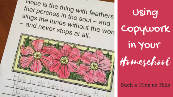 Using Copywork As Part of Your Homeschool {Homeschool Copywork Review}