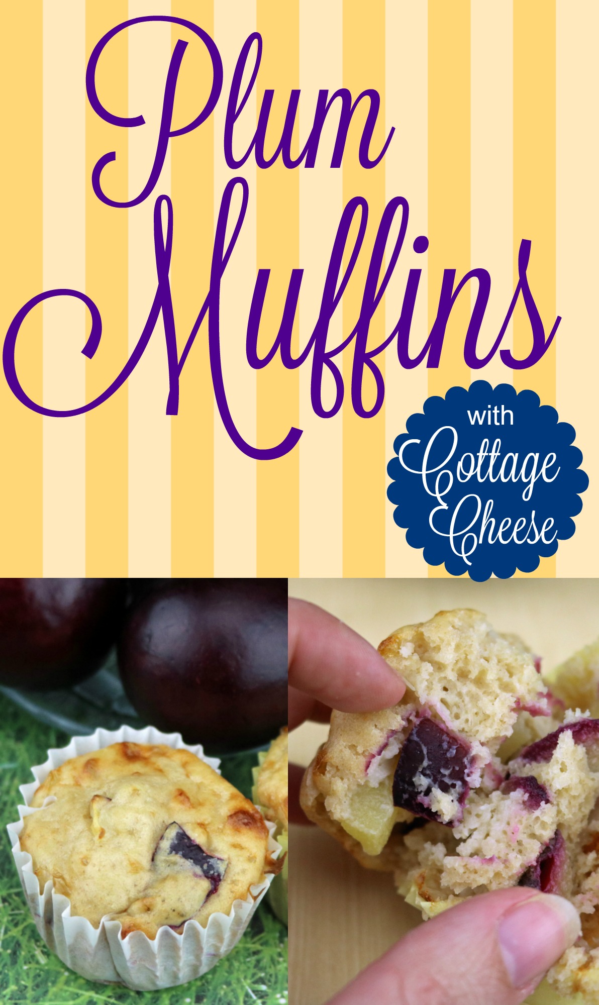 Plum Cottage Cheese Muffins {Recipe}