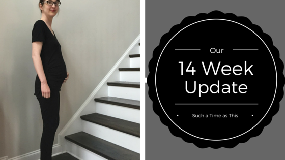 Our 14 Week Update {pregnancy}