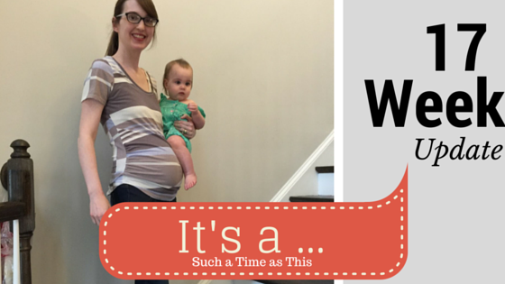 Pregnancy update – 17 weeks {Baby Number 7}