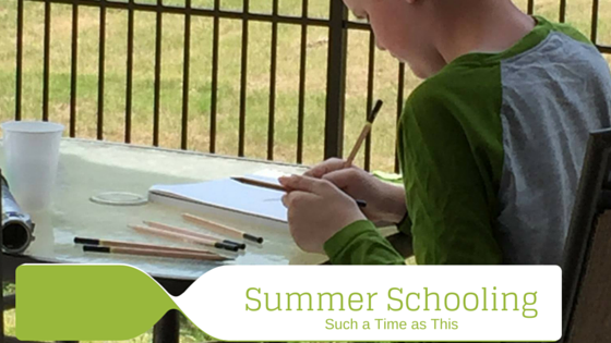 Summer Schooling – What We are Up To {Homeschooling in Summer}