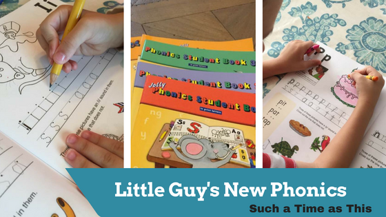 Little Guy’s New Phonics – Jolly Phonics Review