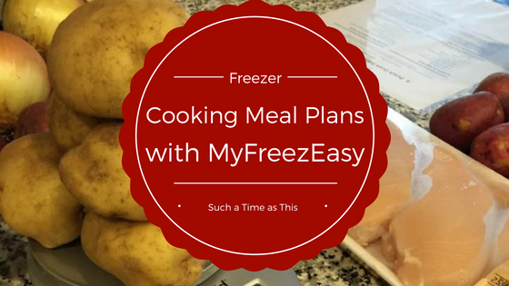 Freezer Cooking Meal Plans {MyFreezEasy Review}