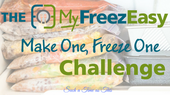 The MyFreezEasy Make One, Freeze One Challenge