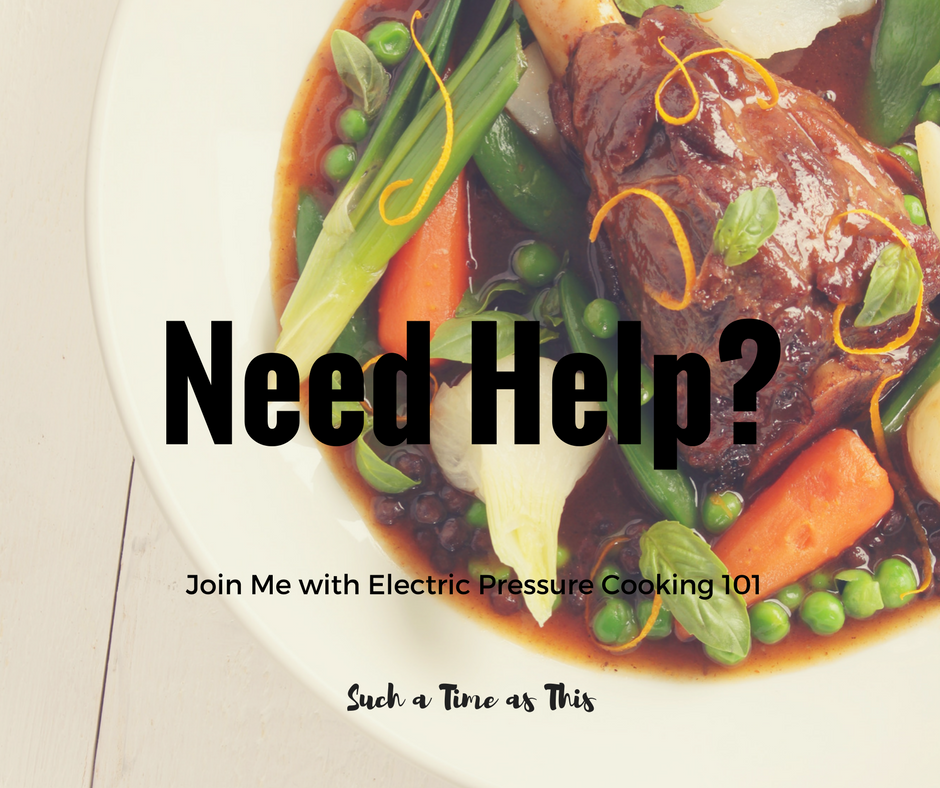 Need Help Using Your Electric Pressure Cooker? Join Me!