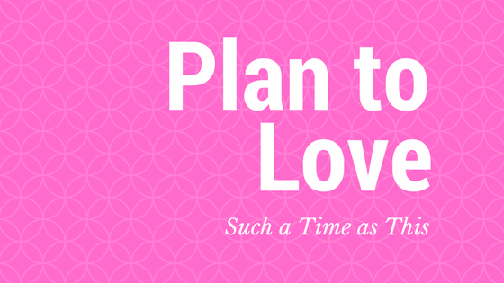 Plan to Love {will you accept the challenge?}