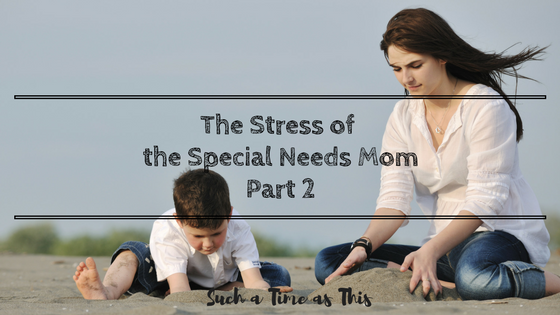 The Stress of the Special Needs Mom: Part 2 {Stress and Autism}