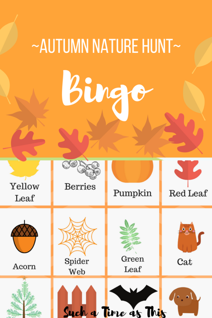 Neighborhood walk bingo printable