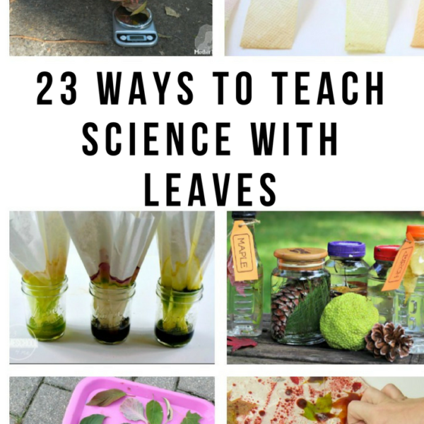 23 Ways to Teach Science with Leaves