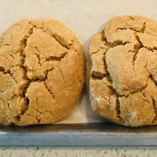 ginger bread cookies